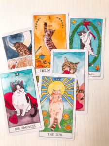 cat tarotcard